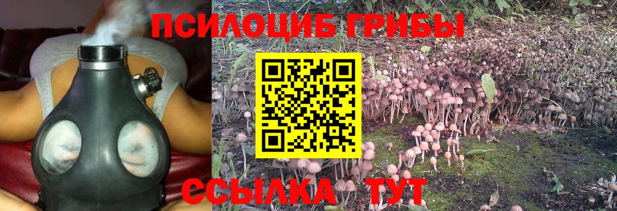Галлюциногенные грибы MAGIC MUSHROOMS  Вход с VPN  Псилоцибиновые грибы мухоморы  Апатиты 